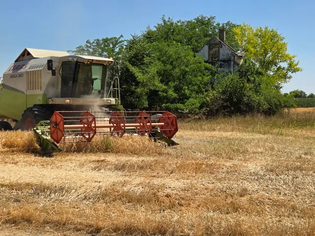 Eladó mezőgazdasági ingatlan Felgyő 100000 nm