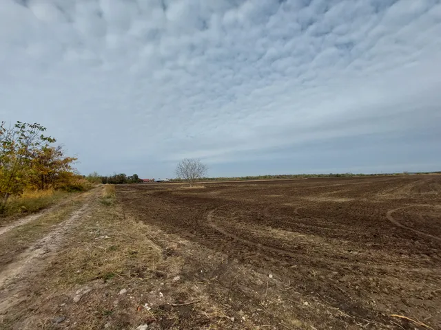 Eladó telek Szeged, Tápéi kiskertek 2749 nm