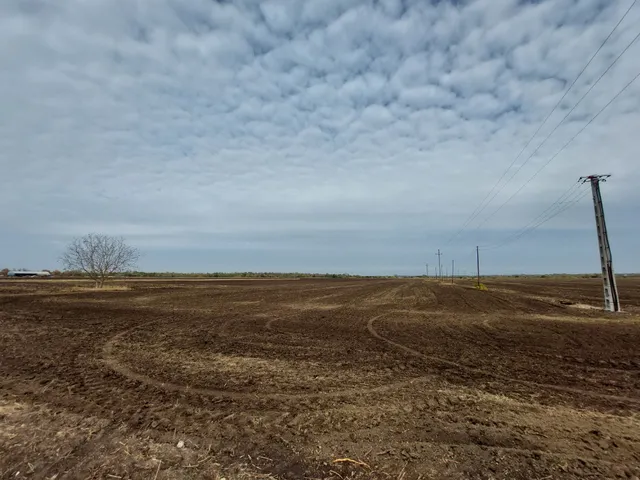 Eladó telek Szeged, Tápéi kiskertek 2749 nm