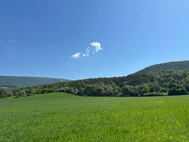 Eladó telek Piliscsév 2108 nm
