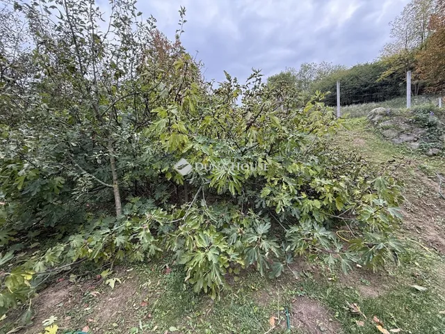 Eladó telek Nyergesújfalu, Németvölgy 3370 nm