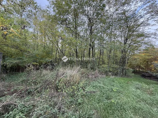 Eladó telek Nyergesújfalu, Németvölgy 1989 nm