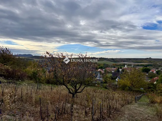Eladó üdülő és hétvégi ház Nagysáp, Sápítóhegyi utca 30 nm