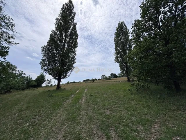 Eladó telek Neszmély 7947 nm