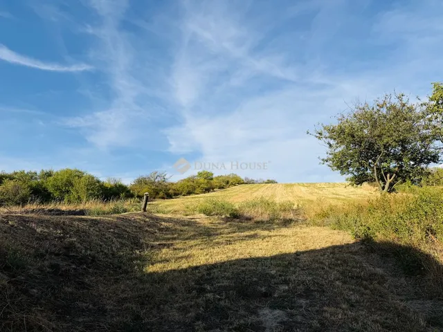 Eladó nyaraló Nagysáp, Zártkert 59 nm