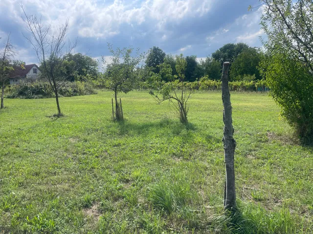 Eladó mezőgazdasági ingatlan Balatonberény 70 nm