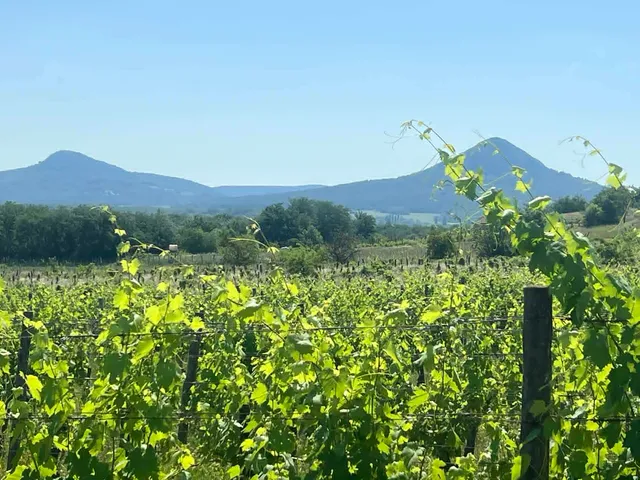 Eladó nyaraló Kisapáti 48 nm