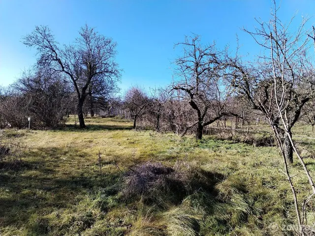 Eladó mezőgazdasági ingatlan Budapest XXII. kerület, Nagytétény 1349 nm