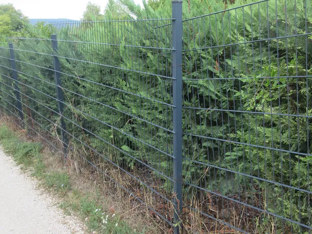 Eladó telek Budakeszi, Nagyszénászug, Fogoly utca 1200 nm