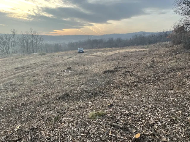 Eladó mezőgazdasági ingatlan Balatonszőlős 7800 nm