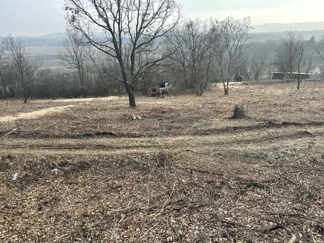Eladó mezőgazdasági ingatlan Balatonszőlős 7800 nm