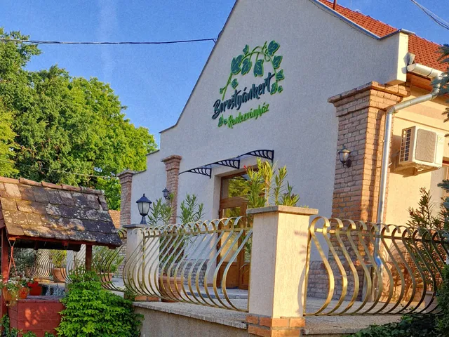 Eladó kereskedelmi és ipari ingatlan Derekegyház 510 nm