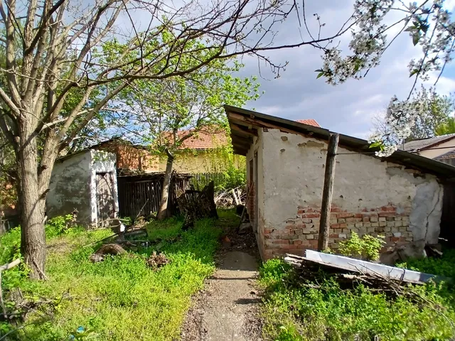 Eladó ház Tiszaalpár, Zrinyi Miklós utca 100 nm