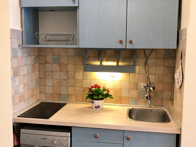 Kiadó lakás Budapest I. kerület, Hattyú utca 30 nm