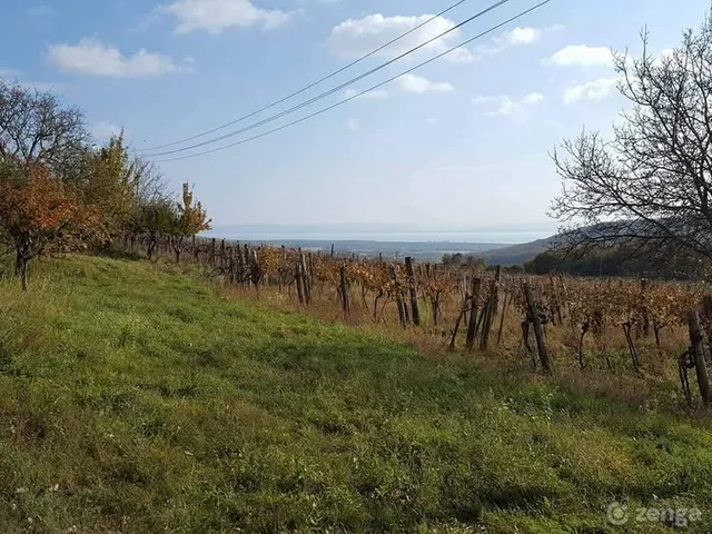 Eladó mezőgazdasági ingatlan Balatoncsicsó 3000 nm
