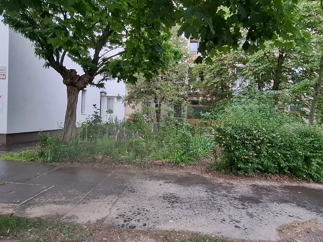 Eladó lakás Budapest XVI. kerület, Mátyásföld 56 nm