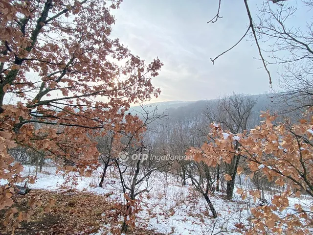 Eladó telek Pécs 2448 nm