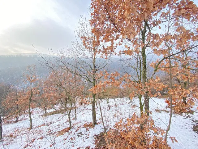 Eladó telek Pécs 2448 nm