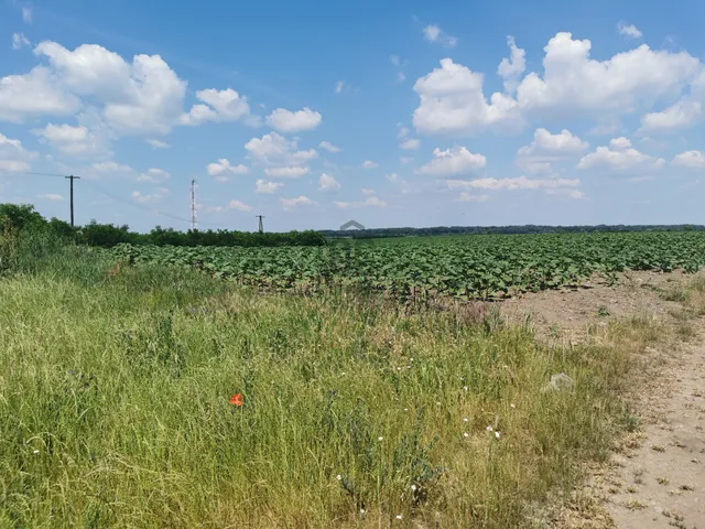 Eladó telek Tiszacsege 2940 nm