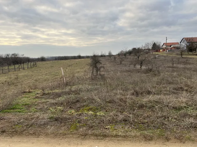 Eladó telek Debrecen, Biczó István-kert 3195 nm