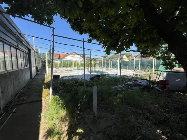 Eladó telek Debrecen, Józsa 5231 nm