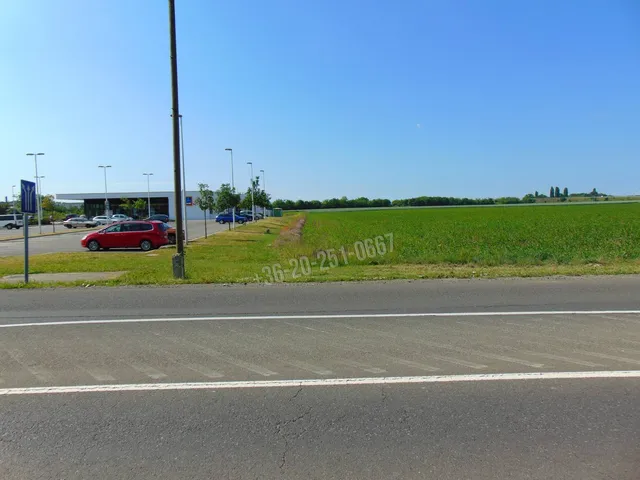 Eladó mezőgazdasági ingatlan Mohács 10000 nm