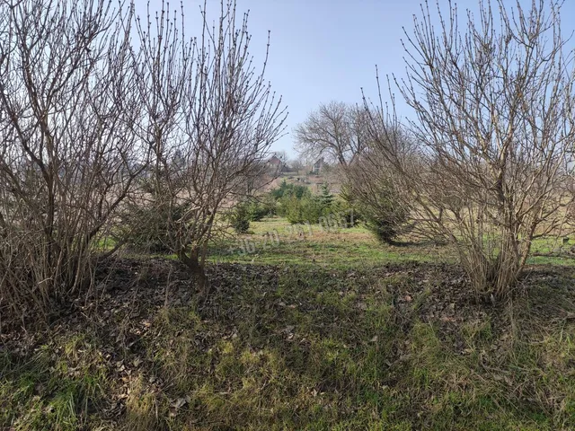 Eladó mezőgazdasági ingatlan Mohács 2748 nm