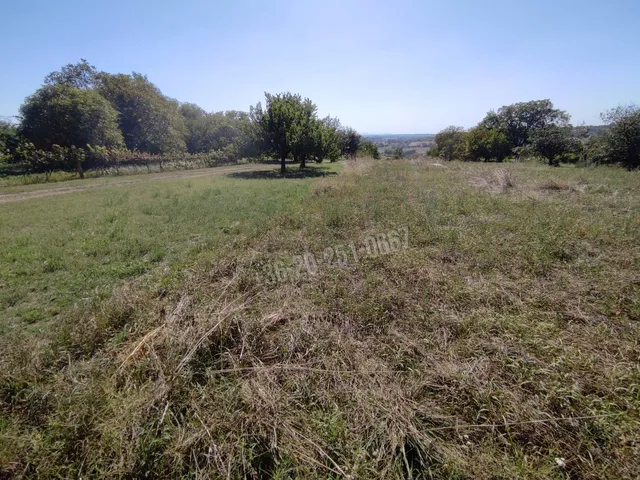 Eladó telek Mohács 2000 nm