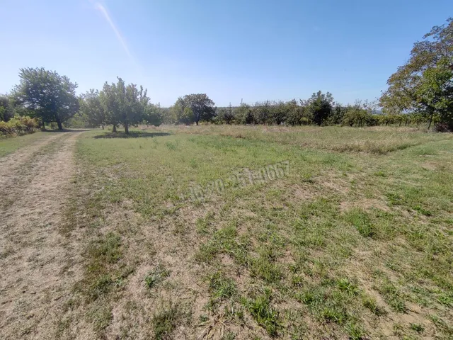 Eladó telek Mohács 2000 nm