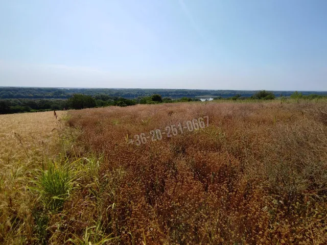 Eladó telek Dunaszekcső 3639 nm