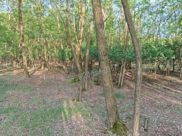 Eladó telek Siklós 129991 nm