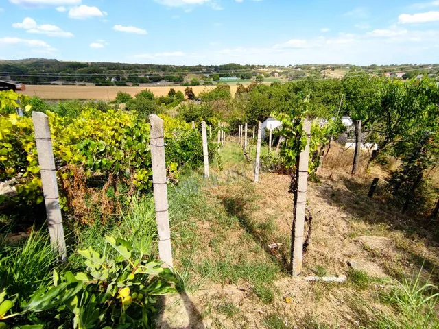 Eladó üdülő és hétvégi ház Mohács 40 nm