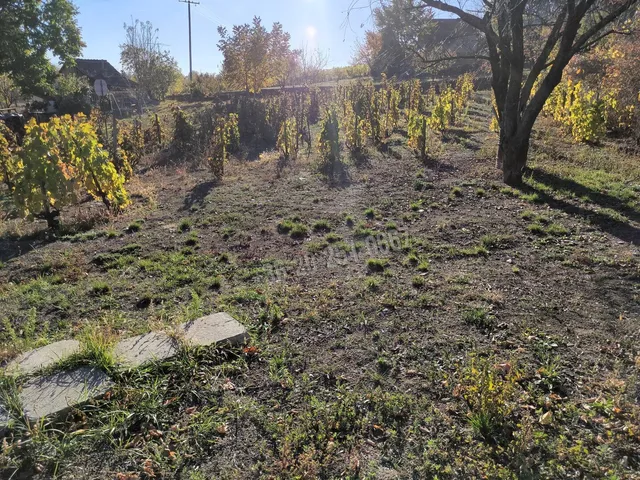 Eladó telek Mohács 722 nm