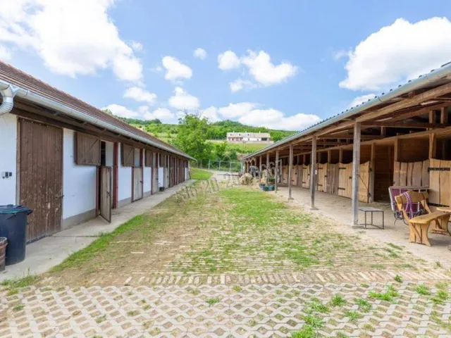 Eladó mezőgazdasági ingatlan Szekszárd 350 nm