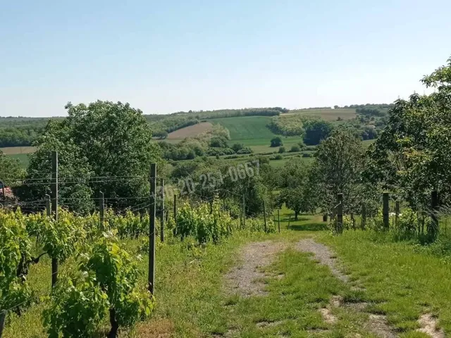 Eladó mezőgazdasági ingatlan Mohács 100 nm