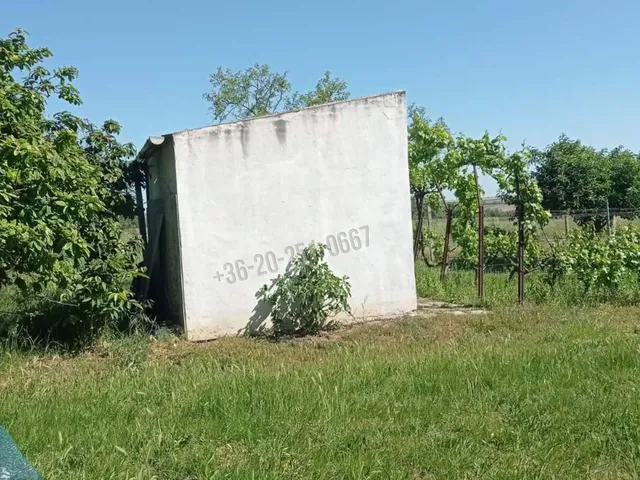 Eladó mezőgazdasági ingatlan Mohács, Szőlőhegy 100 nm