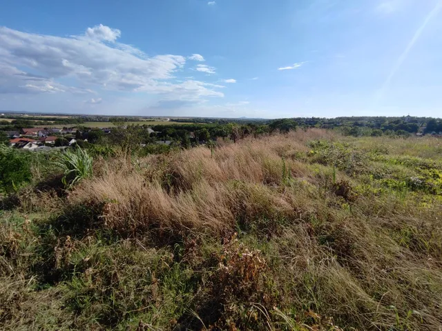 Eladó telek Mohács, Szőlőhegy 4026 nm