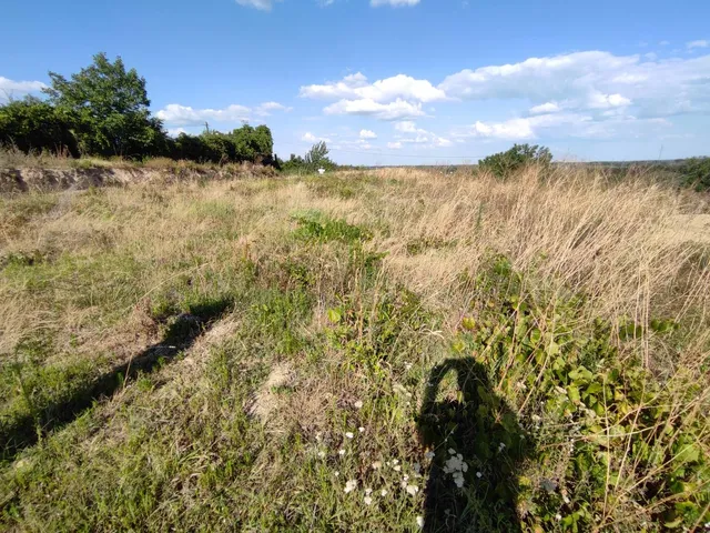 Eladó telek Mohács, Szőlőhegy 4026 nm