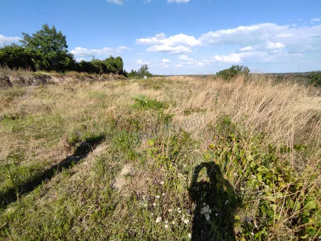 Eladó telek Mohács, Szőlőhegy 4026 nm