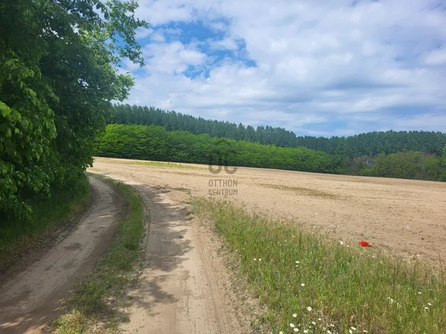 Eladó mezőgazdasági ingatlan Pilis 6623 nm
