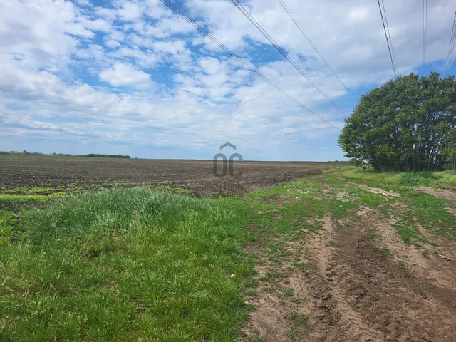 Eladó mezőgazdasági ingatlan Pilis 53533 nm