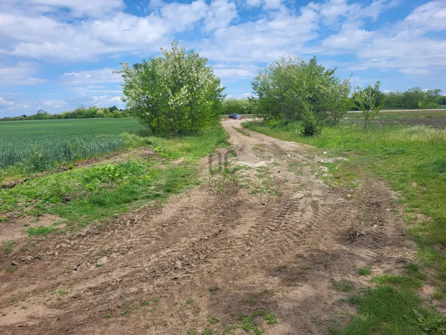 Eladó mezőgazdasági ingatlan Pilis 53533 nm