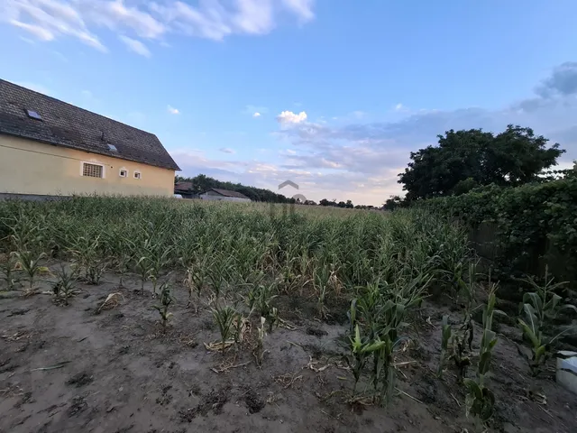 Eladó telek Tápiószentmárton 4481 nm