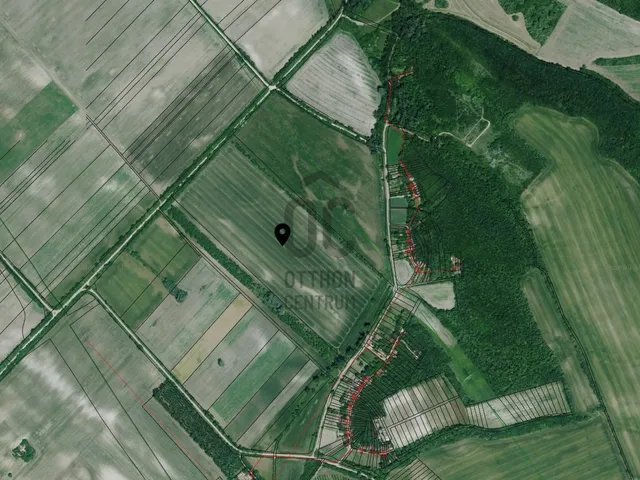 Eladó mezőgazdasági ingatlan Pilis 122254 nm