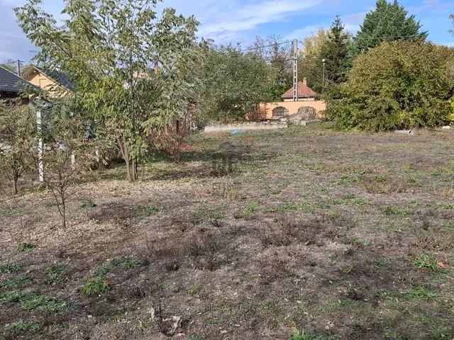 Eladó telek Dánszentmiklós 3971 nm