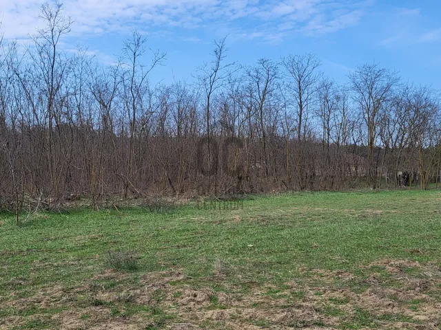 Eladó telek Csévharaszt 1882 nm