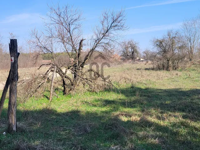 Eladó mezőgazdasági ingatlan Csévharaszt 2321 nm
