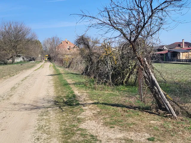 Eladó mezőgazdasági ingatlan Csévharaszt 2321 nm