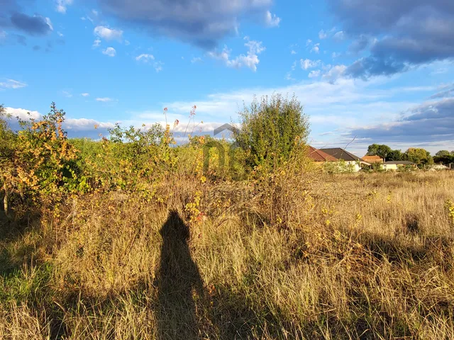 Eladó mezőgazdasági ingatlan Csévharaszt 3500 nm