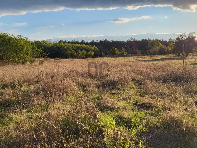Eladó mezőgazdasági ingatlan Csévharaszt 3500 nm
